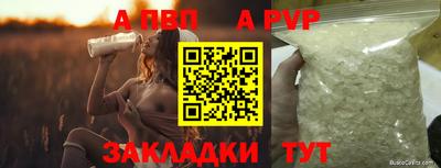 хмурый Кингисепп
