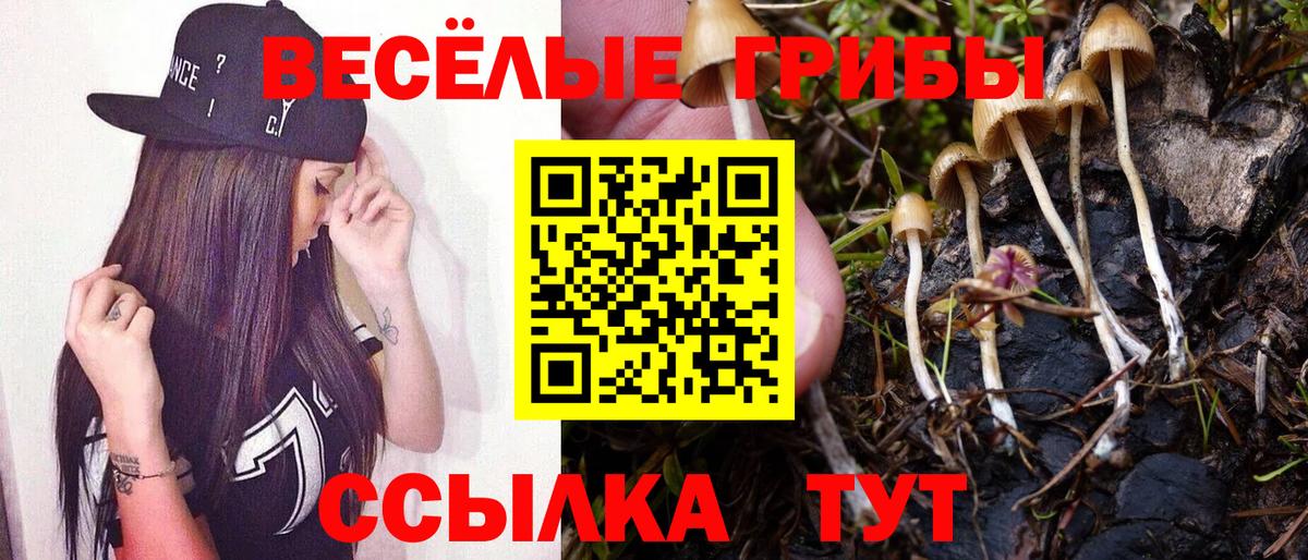 Корсаков  Псилоцибиновые грибы мицелий  Вход с VPN 